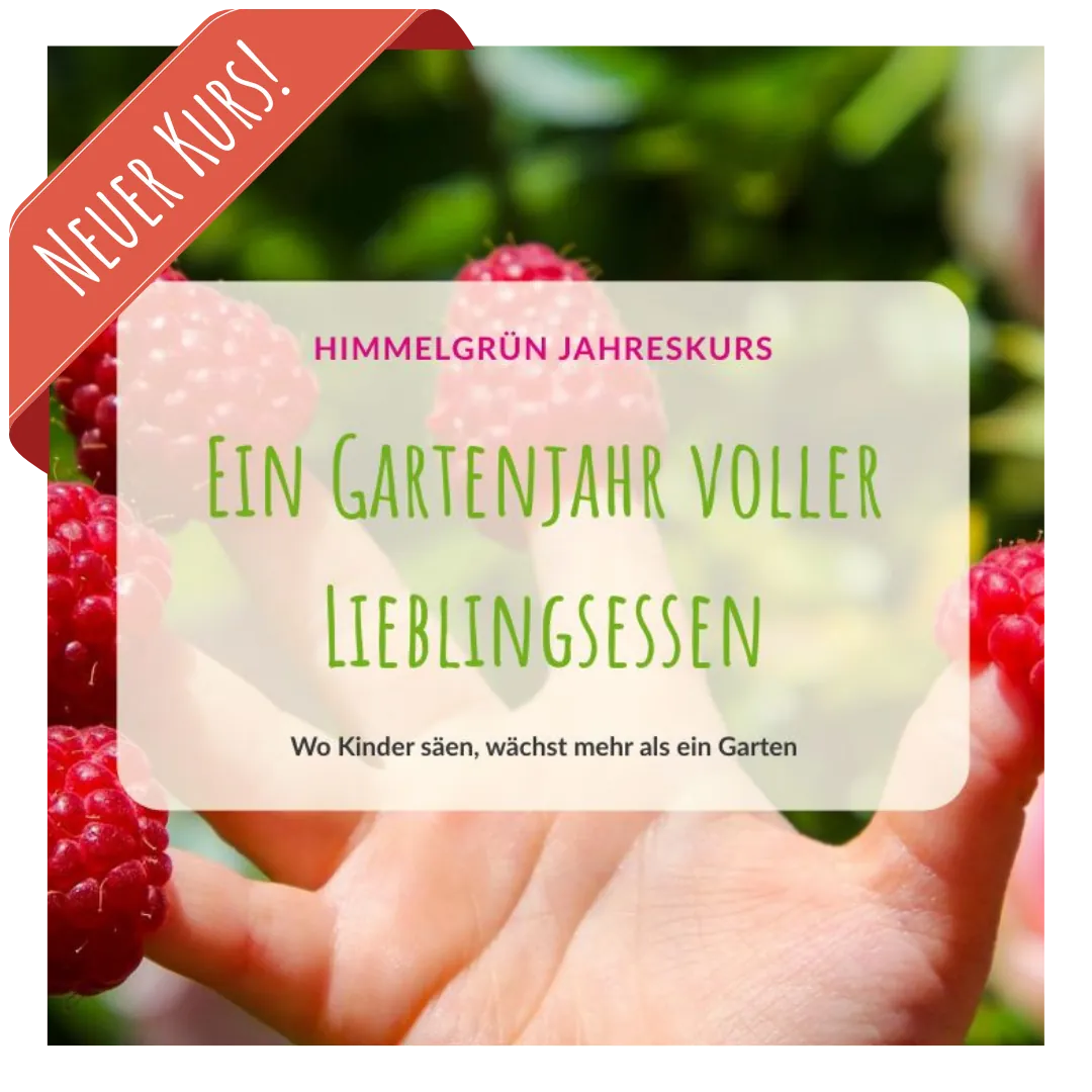 Vorschaubild Onlinekurs himmelgrün